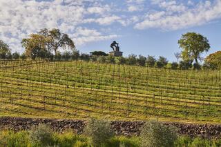 A lush vineyard slopes gently under a blue sky, highlighted by a statue atop a hill, surrounded by trees and row upon row of grapevines.