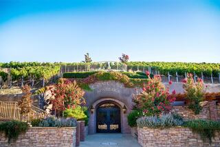 A picturesque entrance to a vineyard surrounded by lush greenery and colorful flowers, evoking a serene and inviting atmosphere.