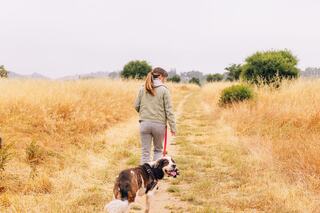 A person walks a dog along a grassy path, surrounded by tall grass and sparse trees under a cloudy sky.